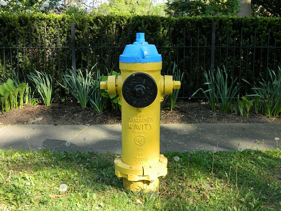 hydrant, water connection, fire extinguishing system, water supply, plant, fire hydrant, security, grass, safety, protection