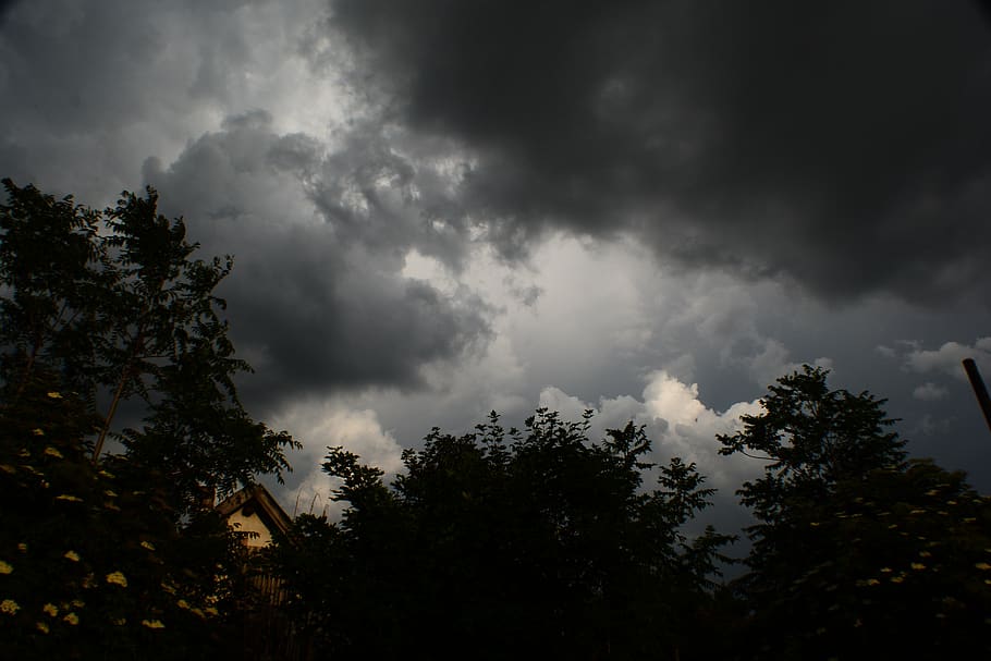 cloud, storm, rain, clouds, sky, weather, before the storm, bad weather, mood, tree
