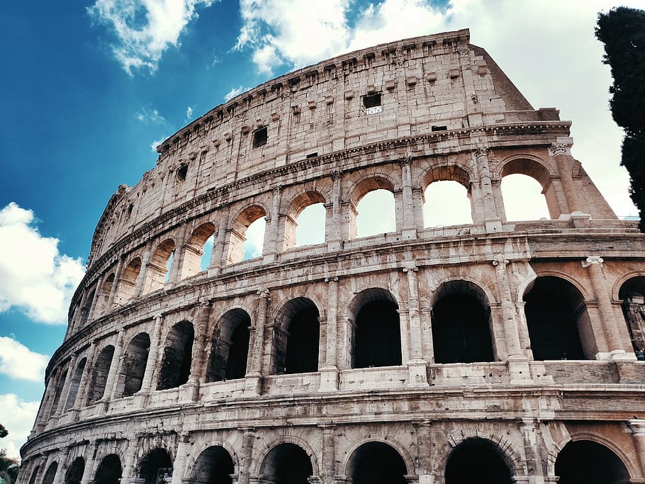 the coliseum, rome, italy, italia, colloseum, roma, monument, antique, history, ancient