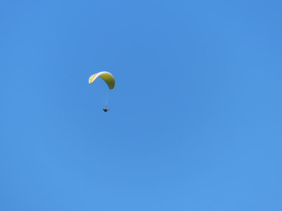 Paraglider, Paragliding, Fly, Sport, sky, springer, paraglider springer, summer, blue, float