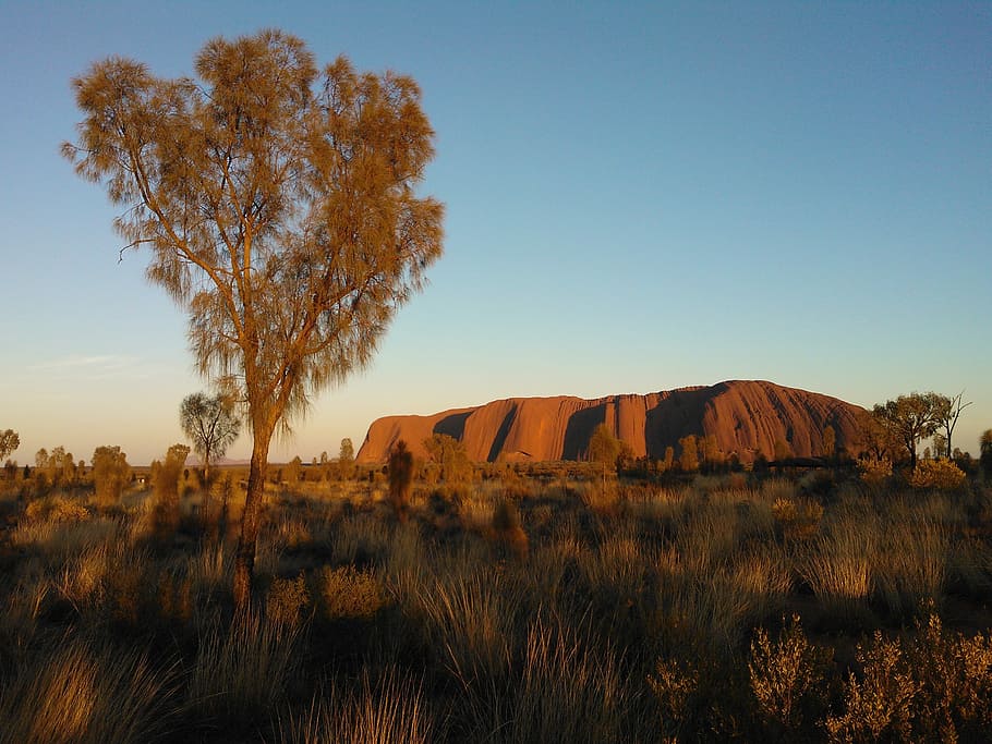 Australia, Uluru, Ayers Rock, Sunrise, uluru, ayers rock, clear sky, landscape, day, outdoors, sky