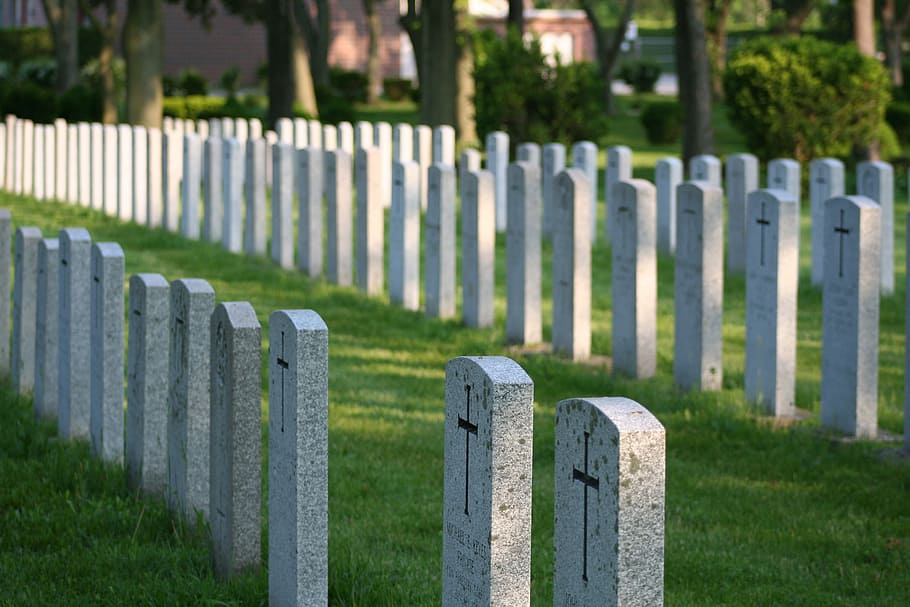headstones, rows, graveyard, cemetery, military, grass, grave, in a row, tombstone, memorial