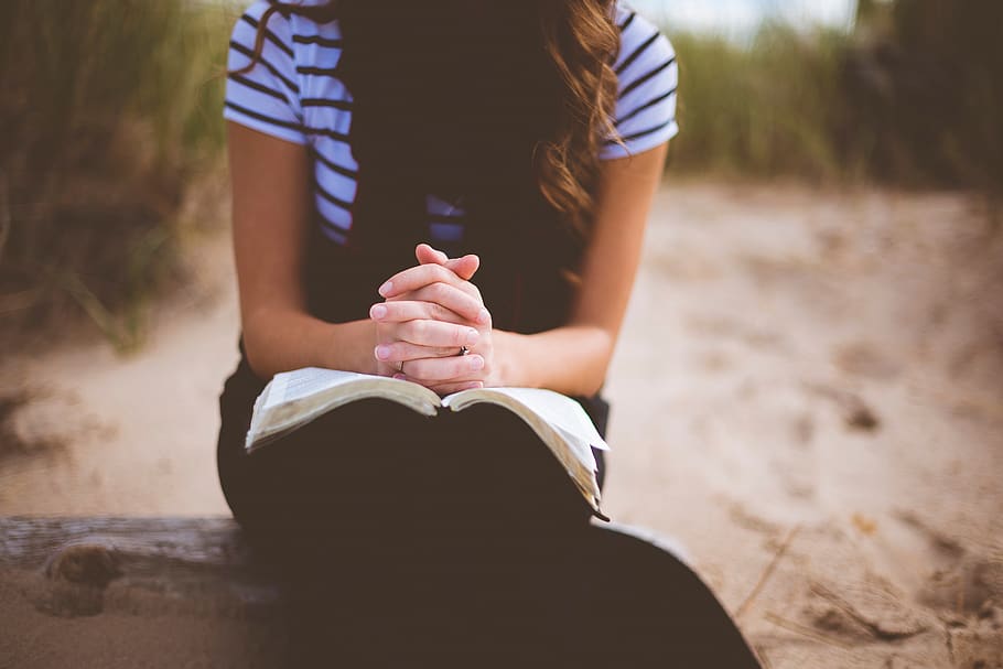 people, girl, alone, sitting, wood, reading, book, bible, blur, midsection