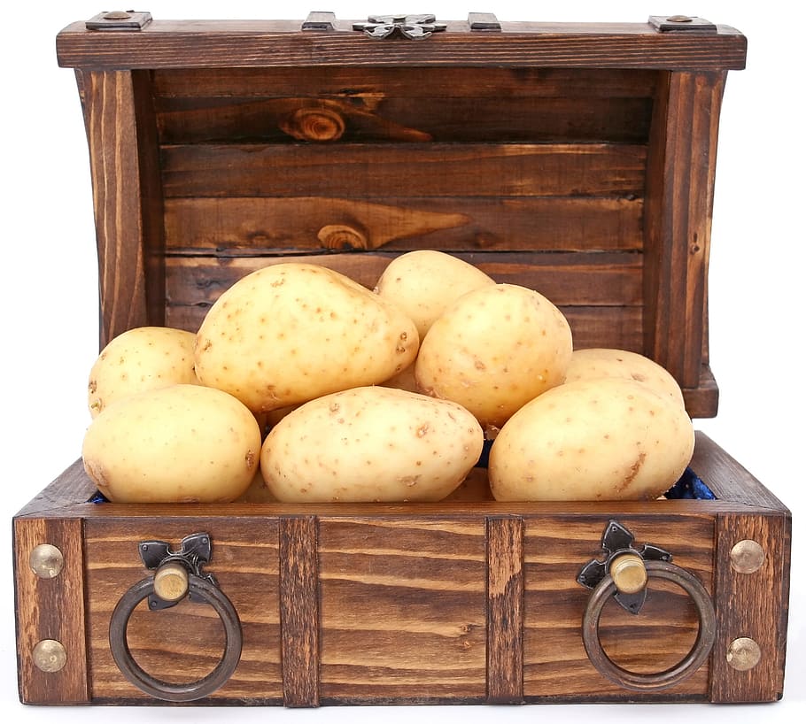 potatoes, brown, chest box, appetite, bank, box, buried, business, cash, catering