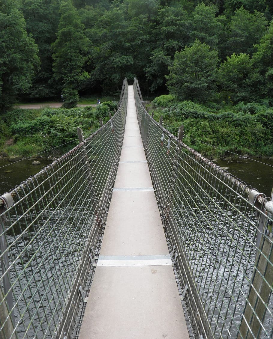 swing bridge, bridge, river, swing, nature, water, rope, crossing, suspension, path