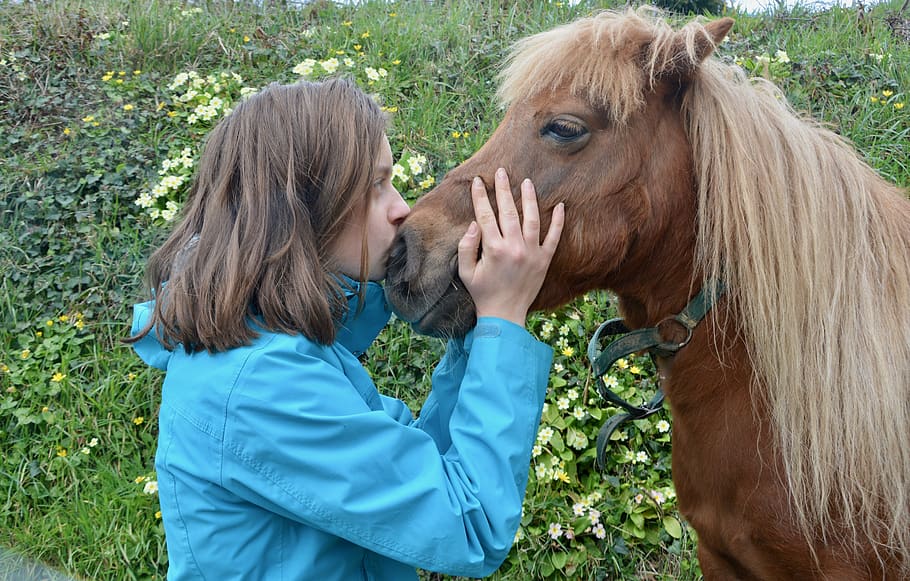 gadis kuda poni shetland, gadis poni ciuman, ciuman, keterlibatan gadis poni, persahabatan, kasih sayang, menunggang kuda, kuda kecil, wanita, kebersamaan