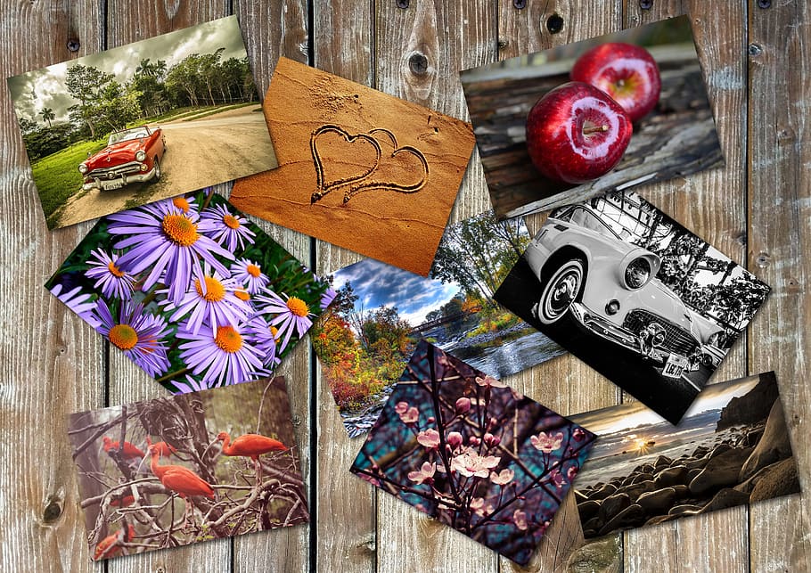 assorted photos, collage, photo collage, group, nature, collection, together, photography, car, wooden