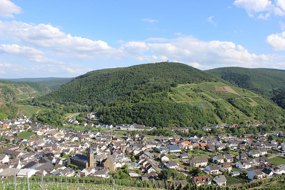 dernau, ahr valley, vineyards, vines, winegrowing, wine, germany, red wine hiking trail, valley, sachsen