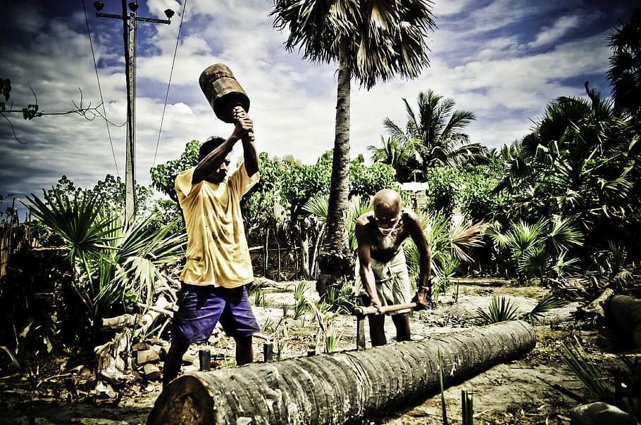 People, Chopping, Trees, Sri Lanka, photos, hdr, laborers, public domain, tree chopping, workers
