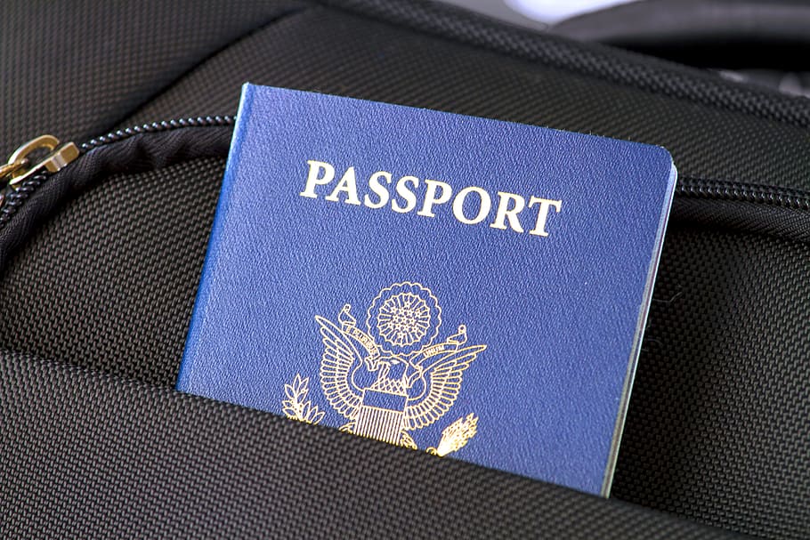pasaporte, negro, bolso, bandera, viaje, visa, identificación, estados unidos, estadounidense, azul
