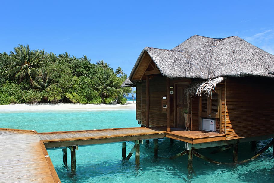 cottage, middle, beach, maldives, sea, hut, holiday, summer, beach sea, beach water