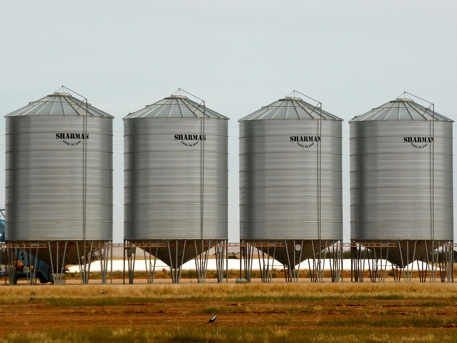 four industrial tanks, silo, wheat storage, wheat, storage, harvest, agriculture, grain, tank, metal
