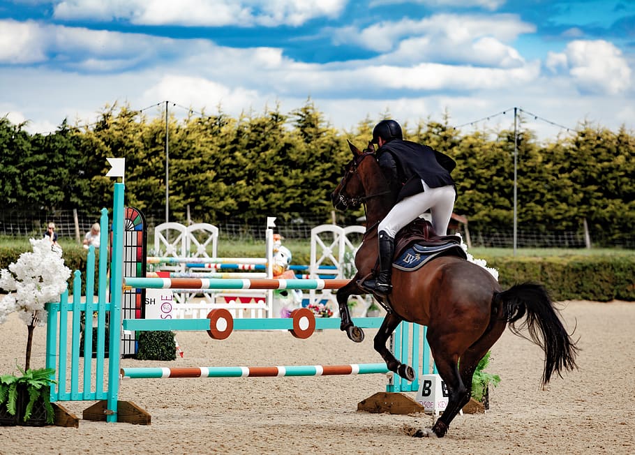 horse jumping, jumping, equestrian, horse, competition, riding, animal, equine, obstacle, sport
