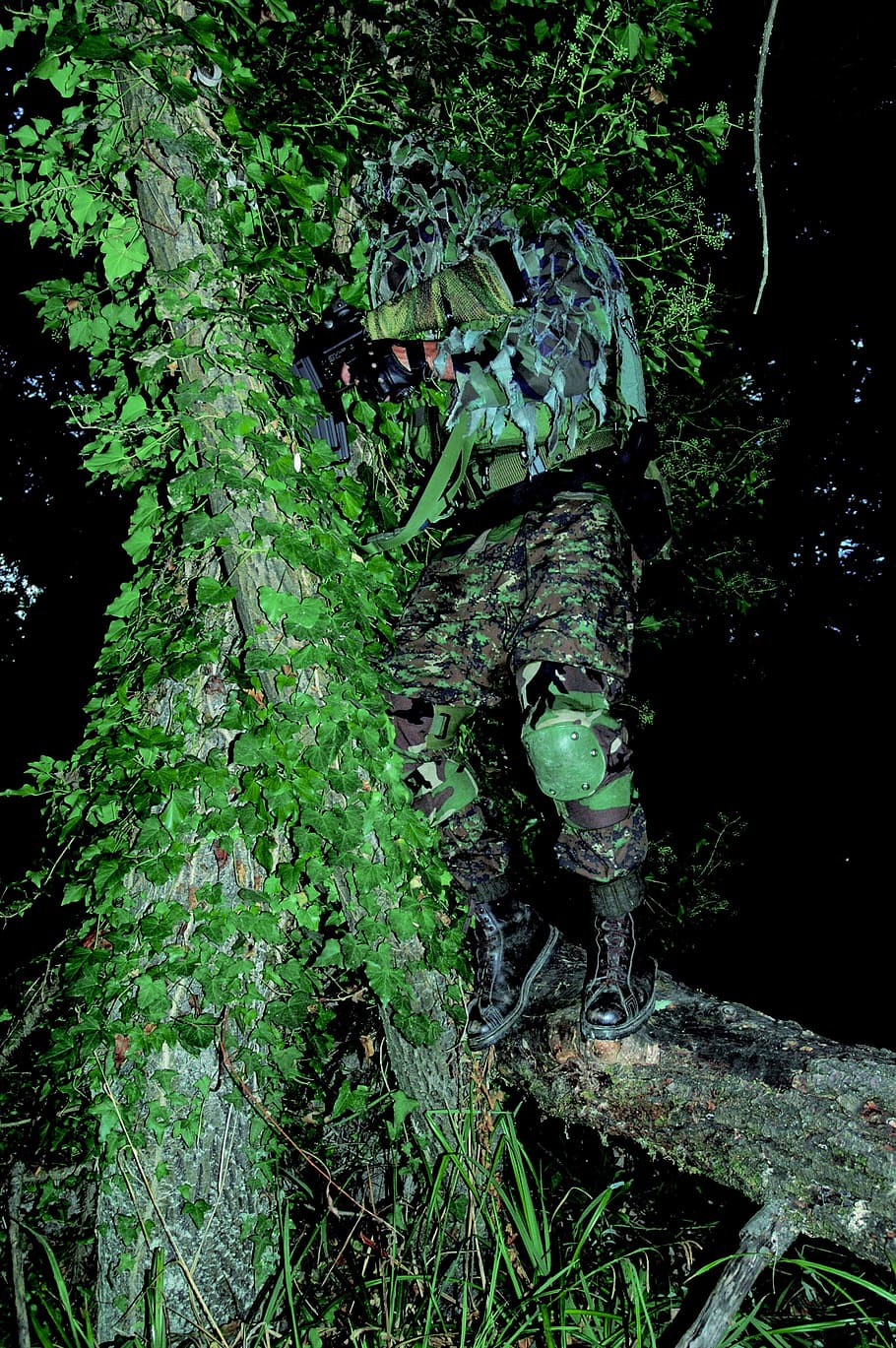 camouflage, camouflaged, soldier, military, hide, man, person, weapon, dangerous, plant