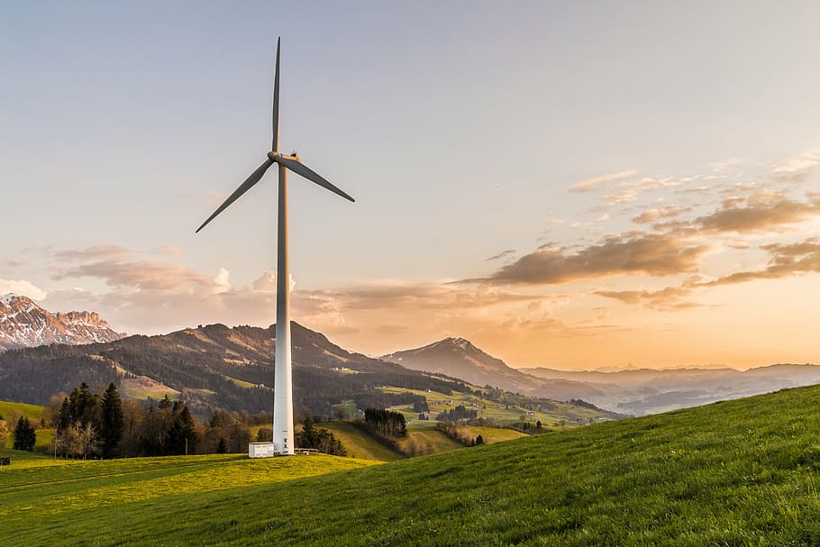 white, wind turbine, green, grass field, gray, sky, daytime, wind energy, environmentally friendly, energy