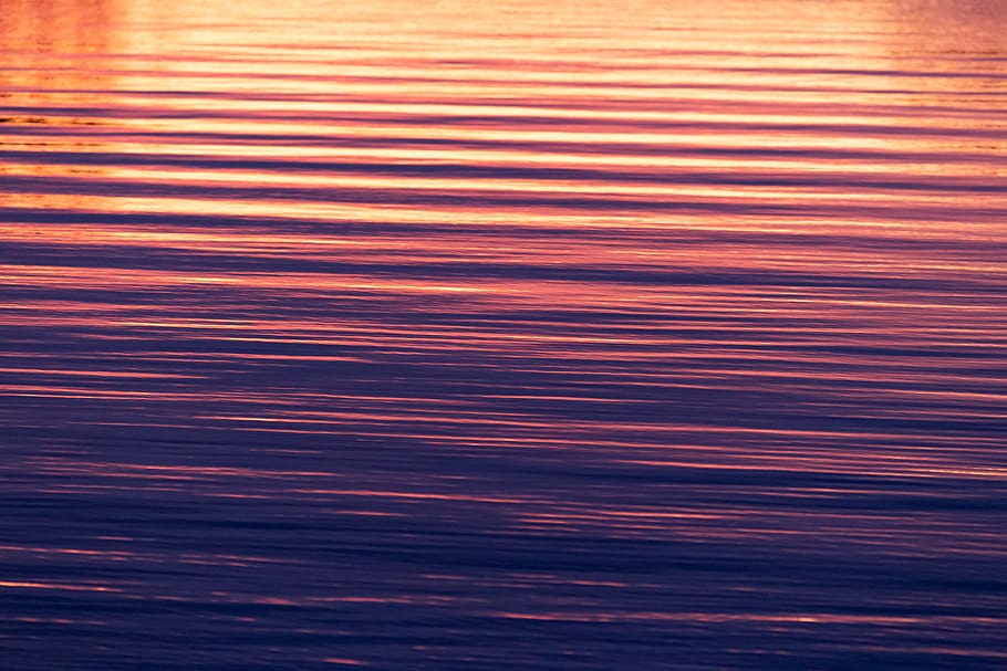 rippled, water, lake, waves, sunlight, reflections, current, drift, nature, natural