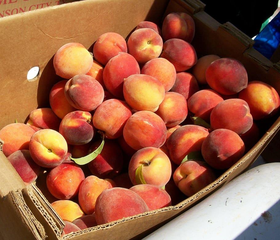peaches, market, organic, bushel, ripe, produce, vegetarian, sweet, juicy, grocery