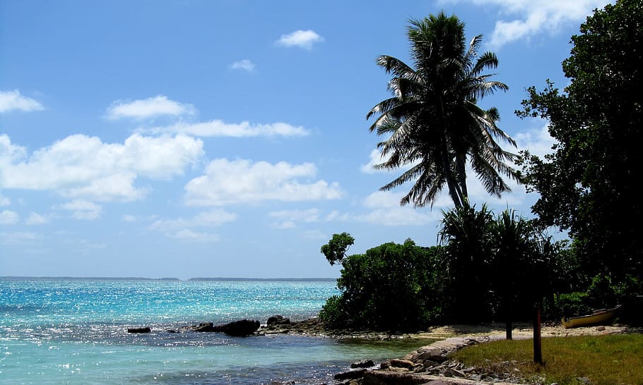 Ilha Fanning, Kiribati, Praia, Lagoa, ilha, pacífico, paraíso, árvore, céu, paisagens