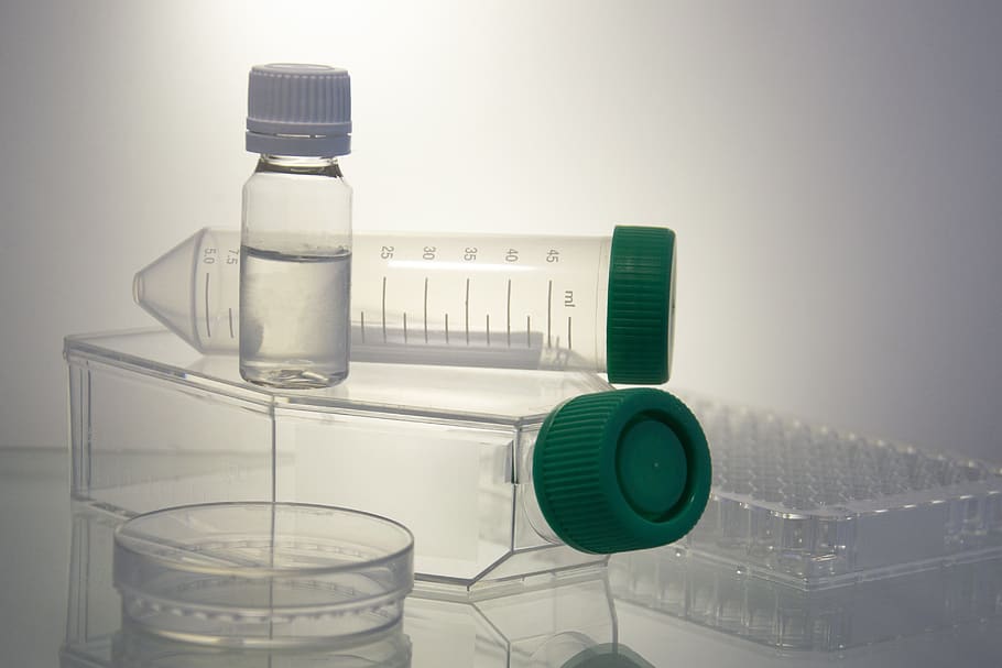 ciência, placa de petri, tubo de ensaio, garrafa, conselho de administração, experiência, bioquímica, teste, substância, laboratório