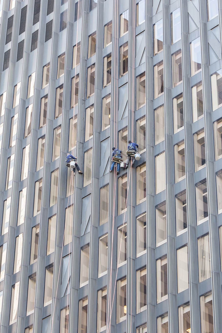 window, washers, work, height, city, building, facade, occupation, working, professional