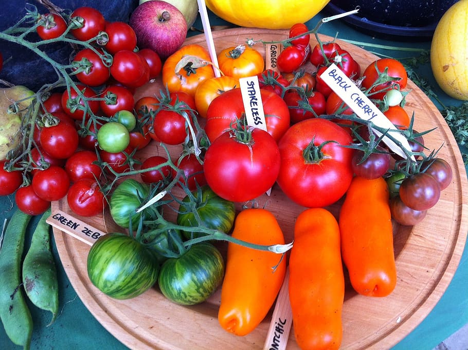 vegetables, castle hex, tomatoes, vegetable, food and drink, food, healthy eating, wellbeing, freshness, tomato