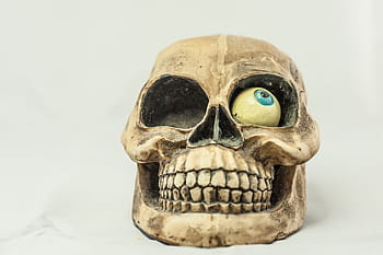 skull-and-crossbones-eye-tooth-skull-royalty-free-thumbnail.jpg