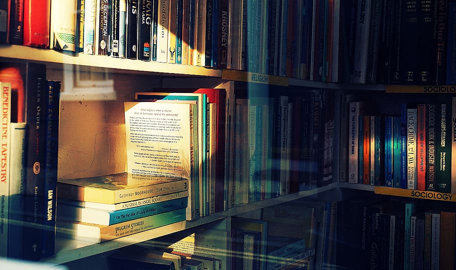 buku, toko buku, rak buku, bacaan, sinar matahari, rak, Book, publikasi, pendidikan, sekelompok besar objek