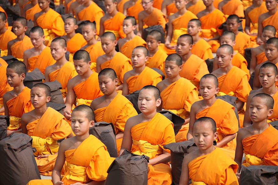 Tailandia, budistas, monjes y novicios, meditar, budismo, niños, naranja, túnicas, tailandés, rezando