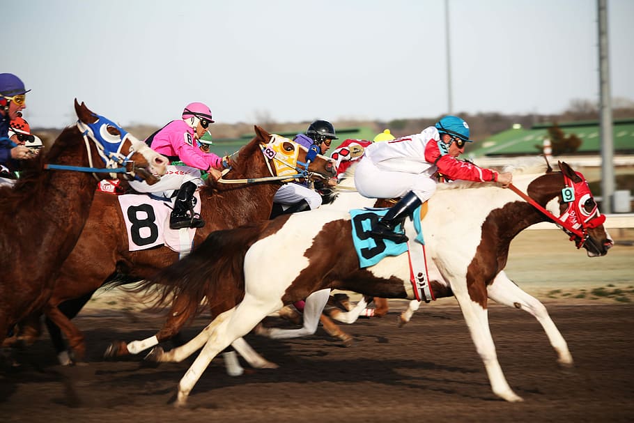 fotografía de lapso de tiempo, jinete, equitación, caballo, caballos, carreras de caballos, hipódromo, carrera de caballos, carrera, carreras