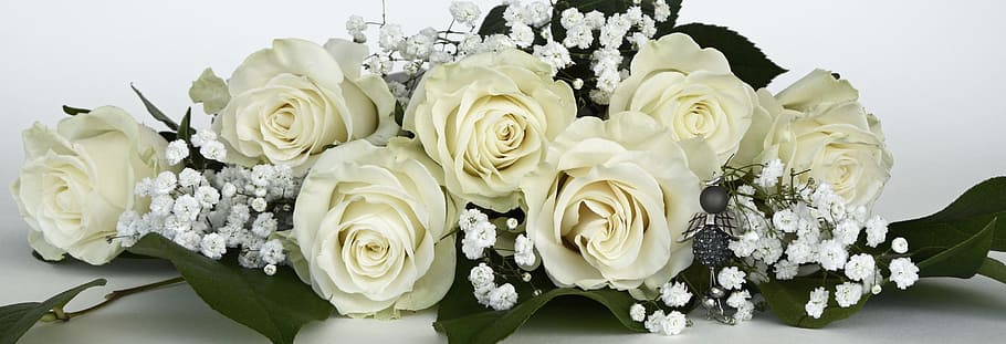 white, roses, baby-breath, flowers, bloom, rose flower, gypsophila, flower, nature, bouquet of flowers