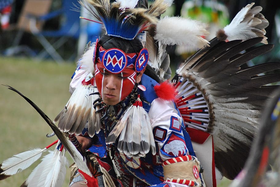 pow wow, penduduk asli amerika, adat, tari, tanda kerajaan, kostum, bulu, orang sungguhan, perayaan, pakaian
