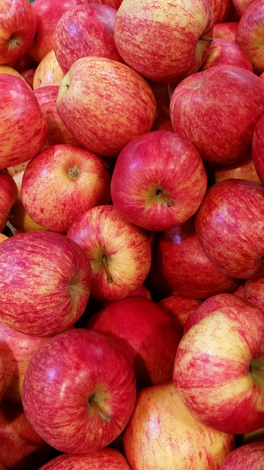 manzana, rojo, fruta, saludable, vitaminas, alimentos, salud, manzana roja, mercado local de agricultores, fresco