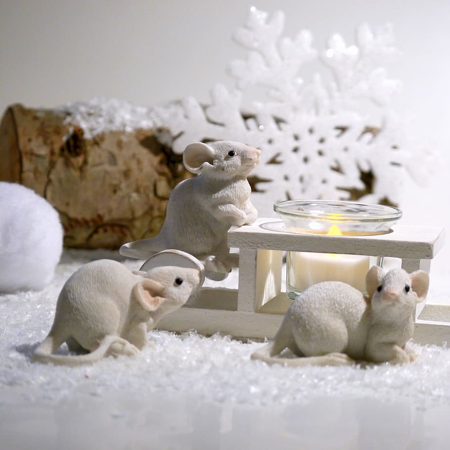 winter, mouse, advent, snow, christmas, christmas time, deco, funny, decoration, festive decorations