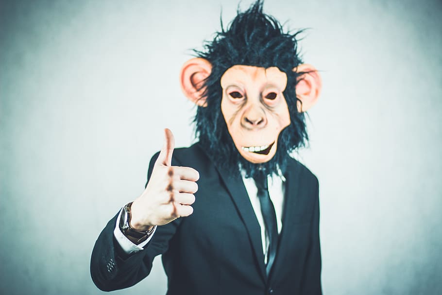 person, wearing, brown, black, money mask, suit jacket, monkey, application, training, business