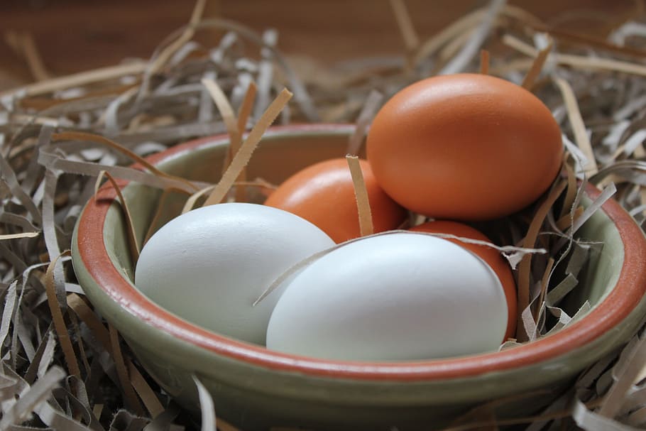 food, eggs, nesting material, straw, desktop, hens egg, easter, bowl, collection, nest