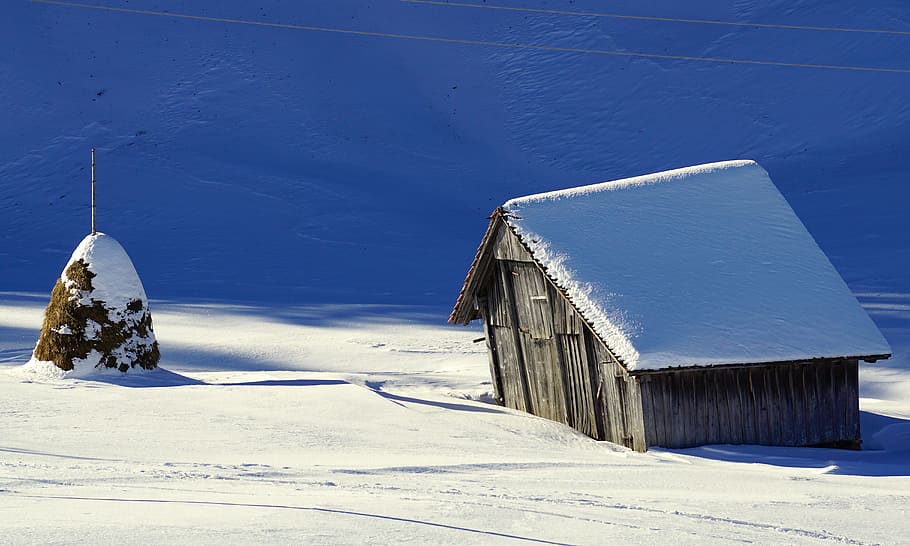 Winter, Barn, Snow, Scale, Wood, log cabin, nature, rural, old, roof