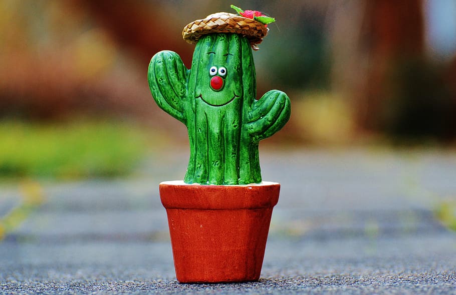 cactus, straw hat, face, funny, cute, funny face, decoration, gartendeko, garden, ceramic