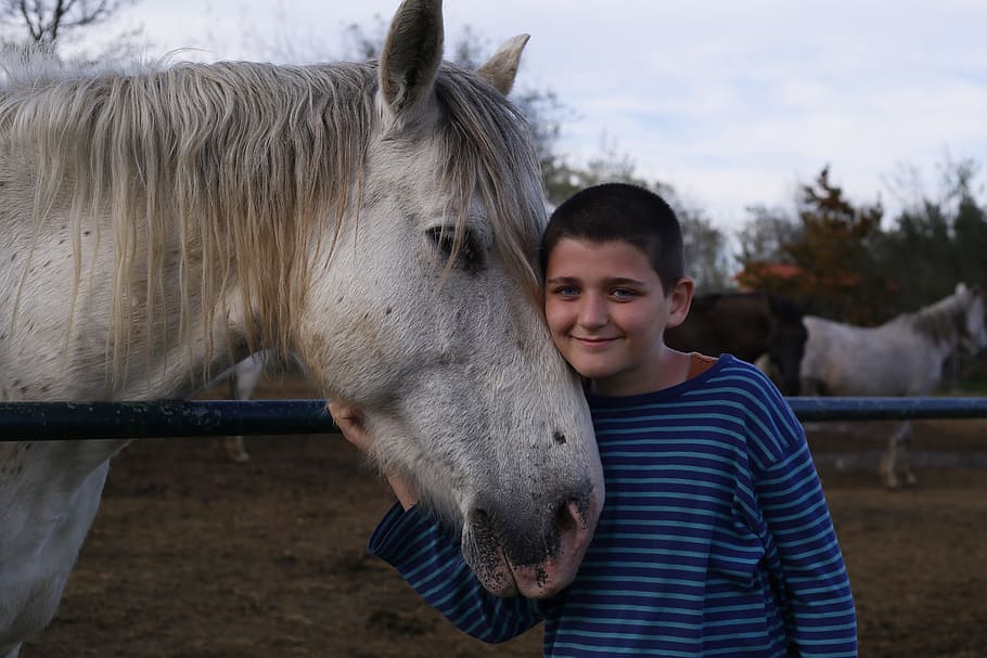 Horse Boy, Love, Animals, horse, love animals, livestock, domestic animals, farm, looking at camera, one animal