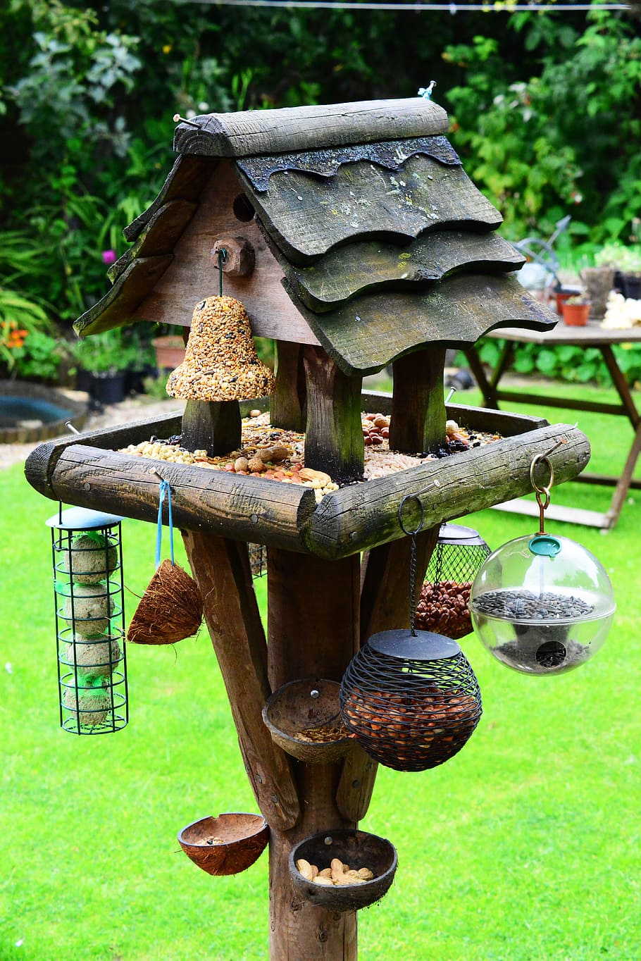 bird house, bird table, feeding station, bird food, garden, feeder, perch, day, focus on foreground, plant