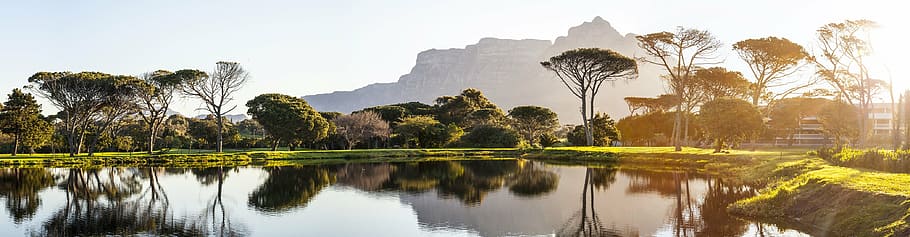 green, leaf tree, river photo, panorama, cape town, golf course, pond, reflection, sunset, devils peak