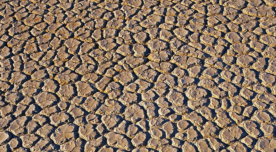 desierto, patrón, crack, tierra, seco, textura, sequía, suelo, erosión, geología