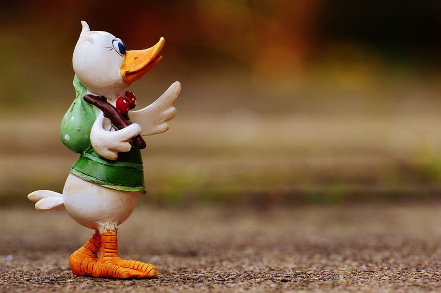 tilt-shift photography, duck, wearing, green, top, standing, surface, time for a change, courage, new beginning