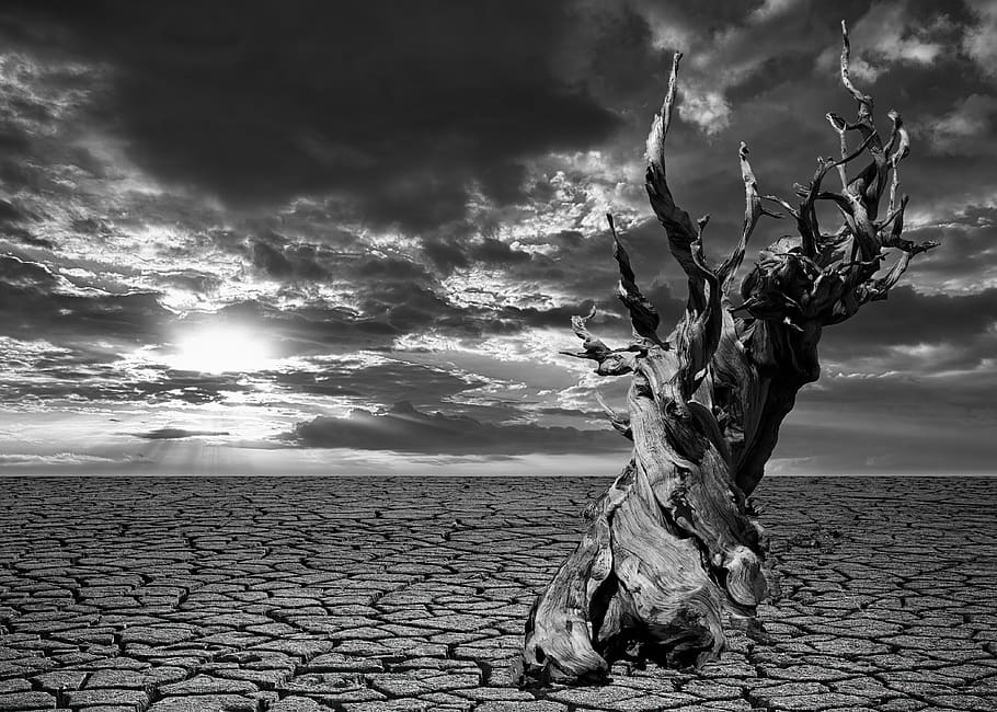 drought, earth, dry, desert, nature, soil, texture, cracks, landscape, old