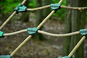 climb-high-ropes-course-climbing-garden-climbing-forest-royalty-free-thumbnail.jpg