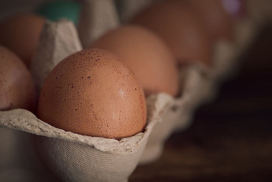 selectivo, fotografía de enfoque, marrón, huevos, bandeja, huevo, huevos de gallina, huevos marrones, crudos, huevos crudos