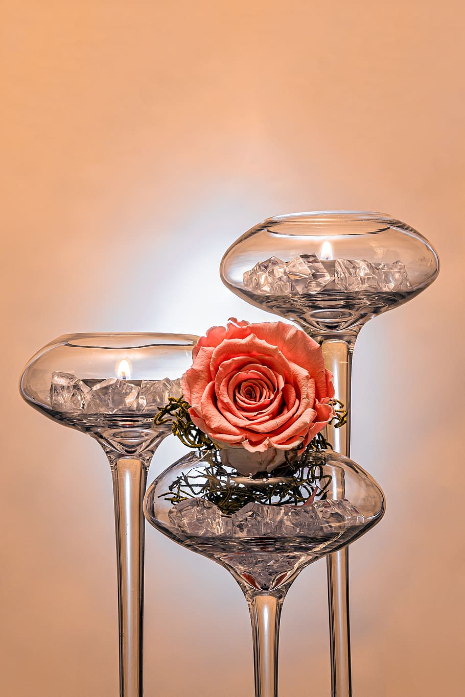 candle holders, glass, rose, light, candlelight, decoration, festive, birthday, fixed, crystal
