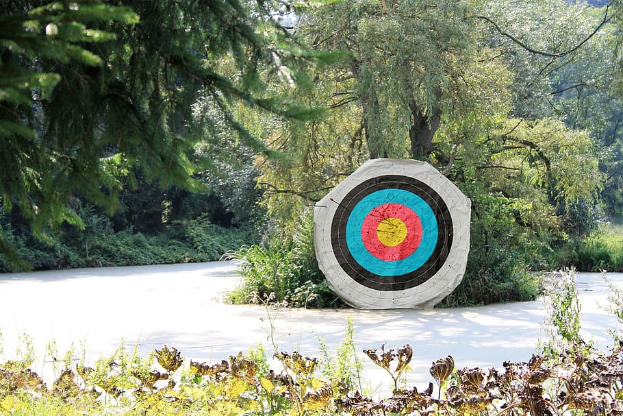 objetivo de flecha, al lado, verde, hojeado, árbol, bogensport, objetivo, flecha, objetivos, golpes