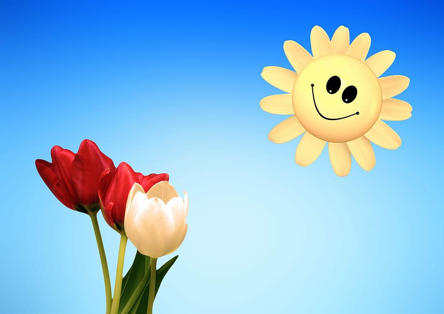 red, white, tulips, sun illustration, smile, sun, smiley, spring, aesthetics, aesthetic