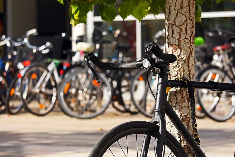 bicicletas, cidade da bicicleta, estudantes, desligado, ciclismo, ecológico, sela, veículo de duas rodas, veículo, mobilidade
