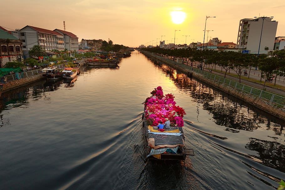 brown, white, boat, body, water, flower, market, vietnam, the city, ho chi minh